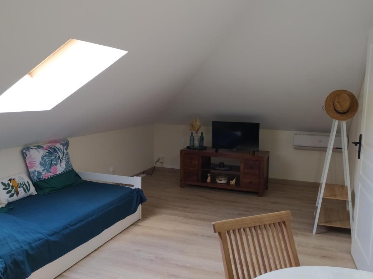 Les Oliviers Sous Le Cocotier Chambre D'Hotes Saint-Joseph Extérieur photo